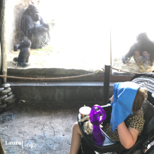 Girl is using a cooling towel and stroller fan to stay cool at Disney World